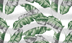 SELVA 6