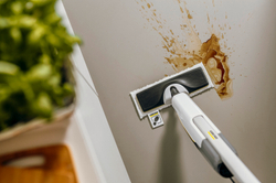 Паровая швабра SC 2 Upright EasyFix Anniversary Edition