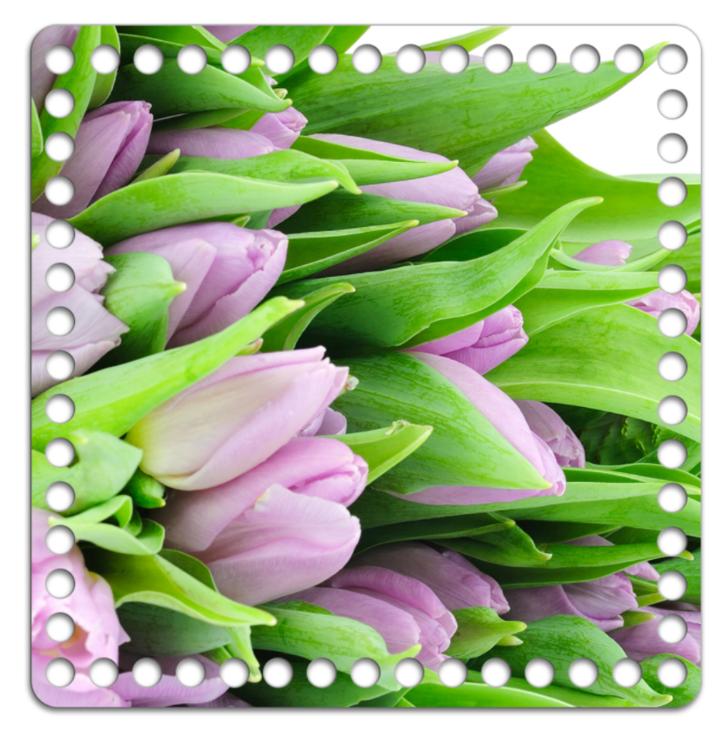 Донышко Принт 20*20см