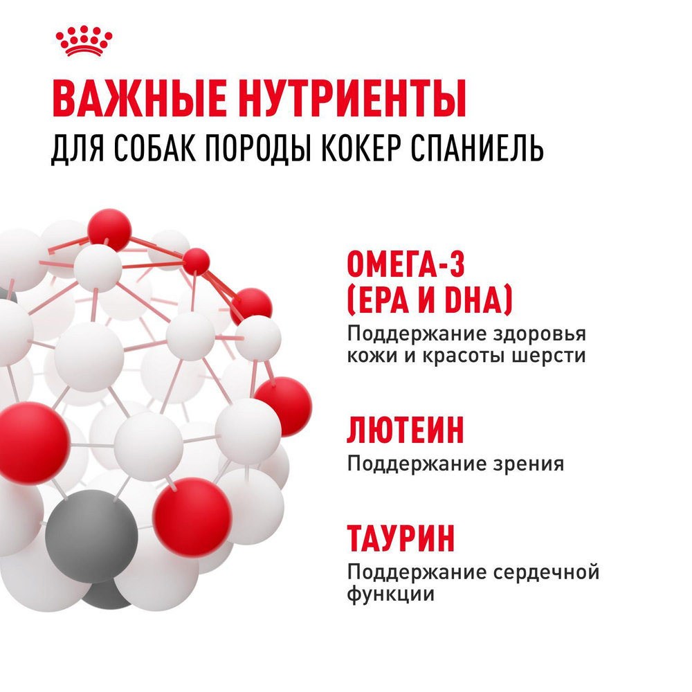 Royal Canin Golden Retriever Корм сухой для взрослых собак породы Голден Ретривер 3 кг