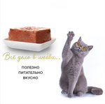 Паштет для стерилизованных кошек Best Dinner Cat Super Premium 0,1кг говядина 14 шт