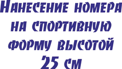 Цена нанесения номера высотой 25 см: с 1- 9 цена 280 руб, с 10- 99 цена 350 руб