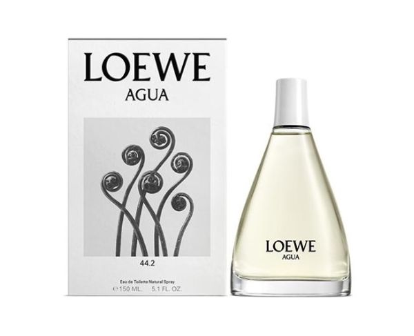 Loewe Agua 44.2