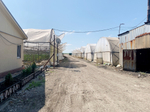 Готовый тепличный бизнес в ст.Петровская, Славянского района