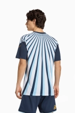 Футболка adidas Argentina 2026 Pre-Match