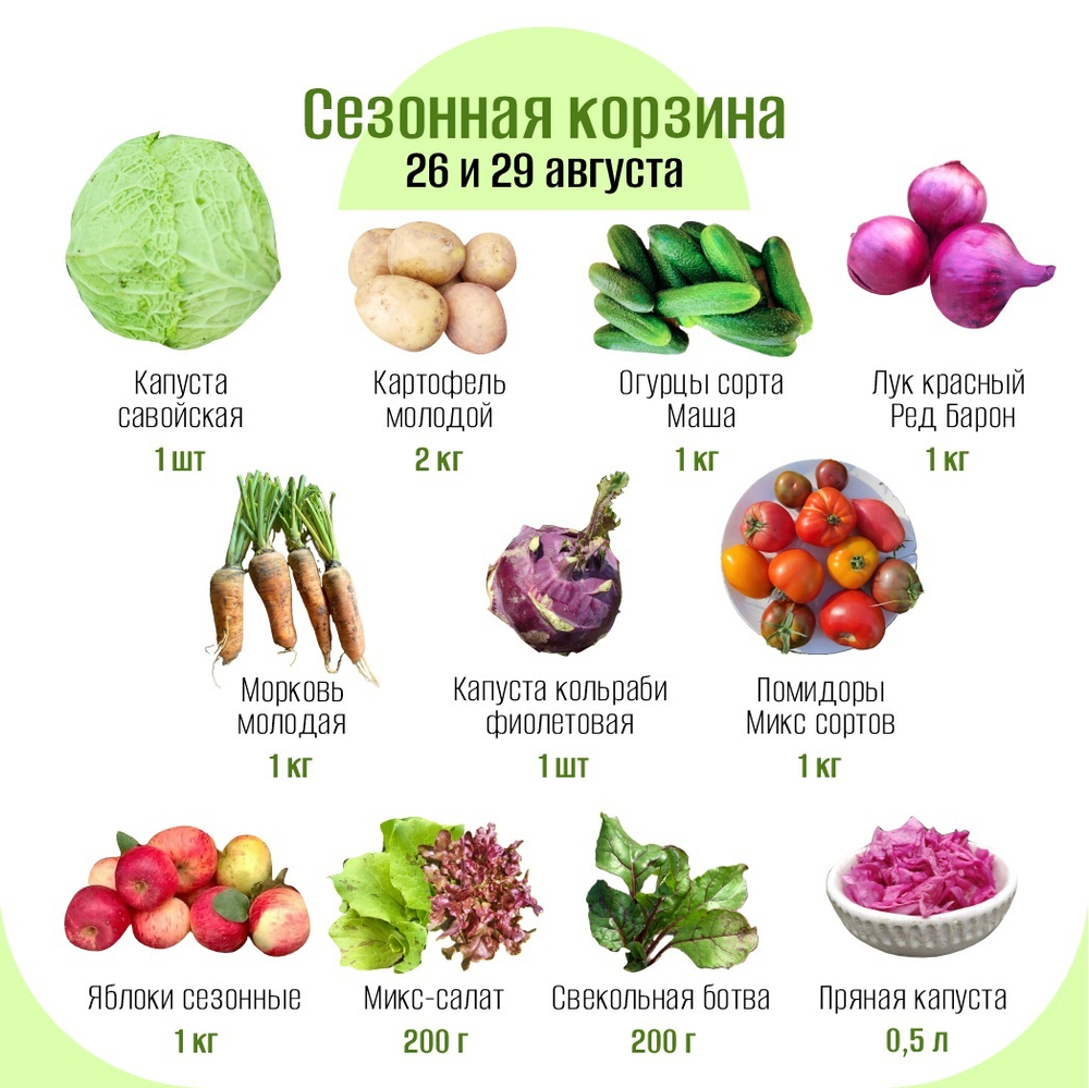 Сезонная корзина