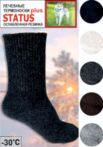 Носки STATUS СШ-2 (40-46)