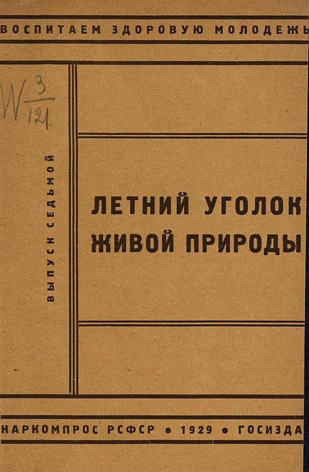 Летний уголок живой природы | Нет автора