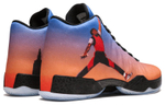 Кроссовки Jordan Air Jordan 29 Photo Reel