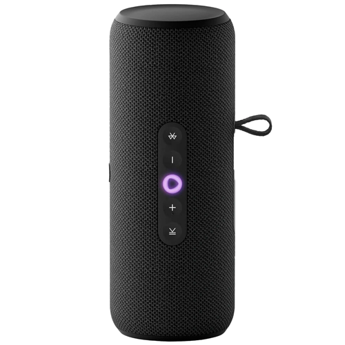 Умная портативная колонка Яндекс Станция Стрит, Черный