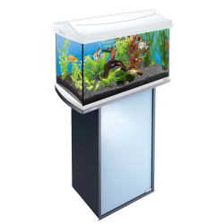 Tetra AquaArt Discover Line 60 л (белый) - прямоугольный аквариум со светом и фильтром