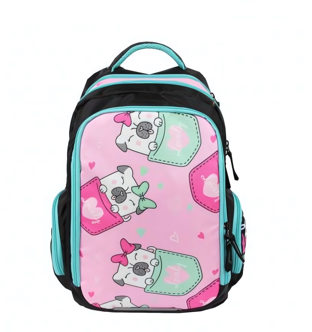 Рюкзак школьный Тайлер "Мопс" 30*44*14 см. 2 отд., 1 карман, боковые карманы на молнии (Luris)