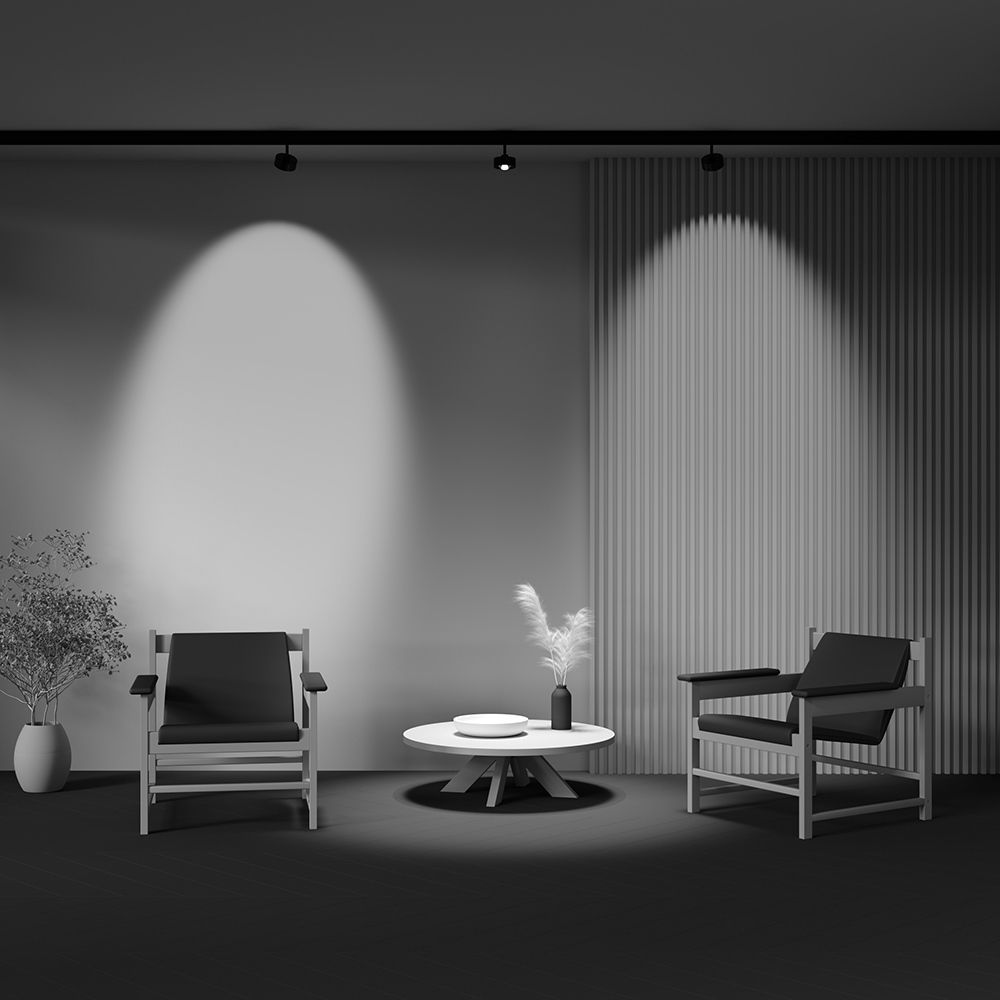 Трековый магнитный светодиодный светильник EXILITY Maytoni   TR217-2-15W3K-B