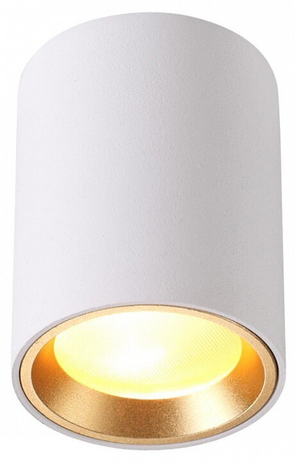 Накладной светильник Odeon Light 4206/1C