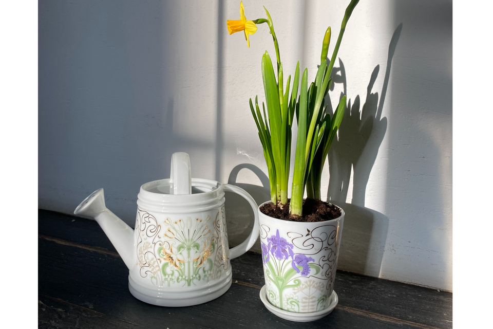 Весенние подарки