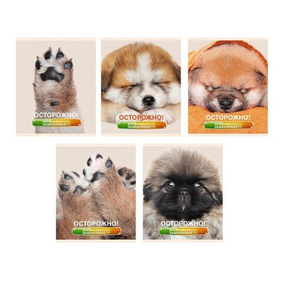Тетрадь А5 48л клетка "Осторожно, щеночки" (Эксмо)
