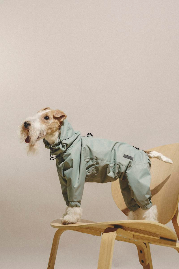 Комбинезон "Пони-комбинезони" мятный