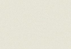 Микрофибра Montana (Монтана) 10