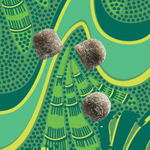Kuli Kuli, Жевательные мармеладки Superfood, моринга и зелень, зеленое яблоко, 60 жевательных таблеток на растительной основе