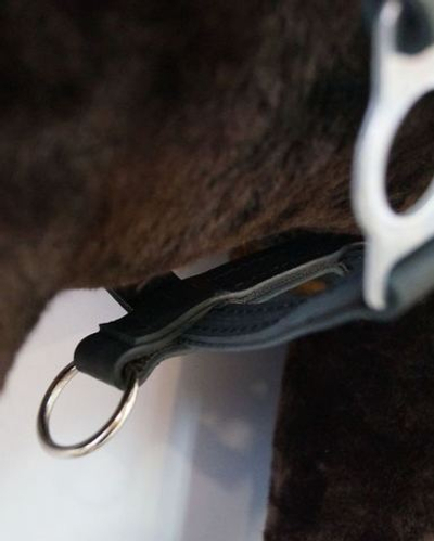 Недоуздок кожа