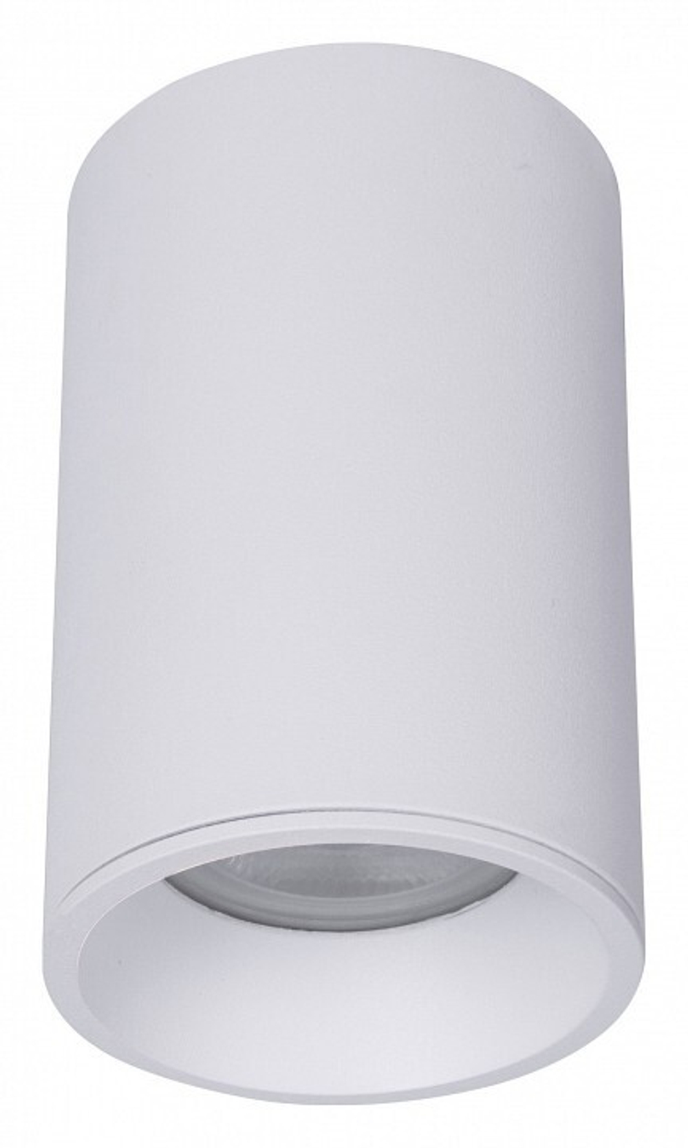 Накладной светильник Maytoni Technical C029CL-01-S-W
