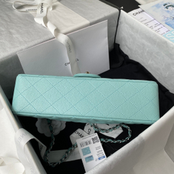 Chane1 Classic Flap Bag 25 cm