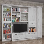 Стенка Венеция 9