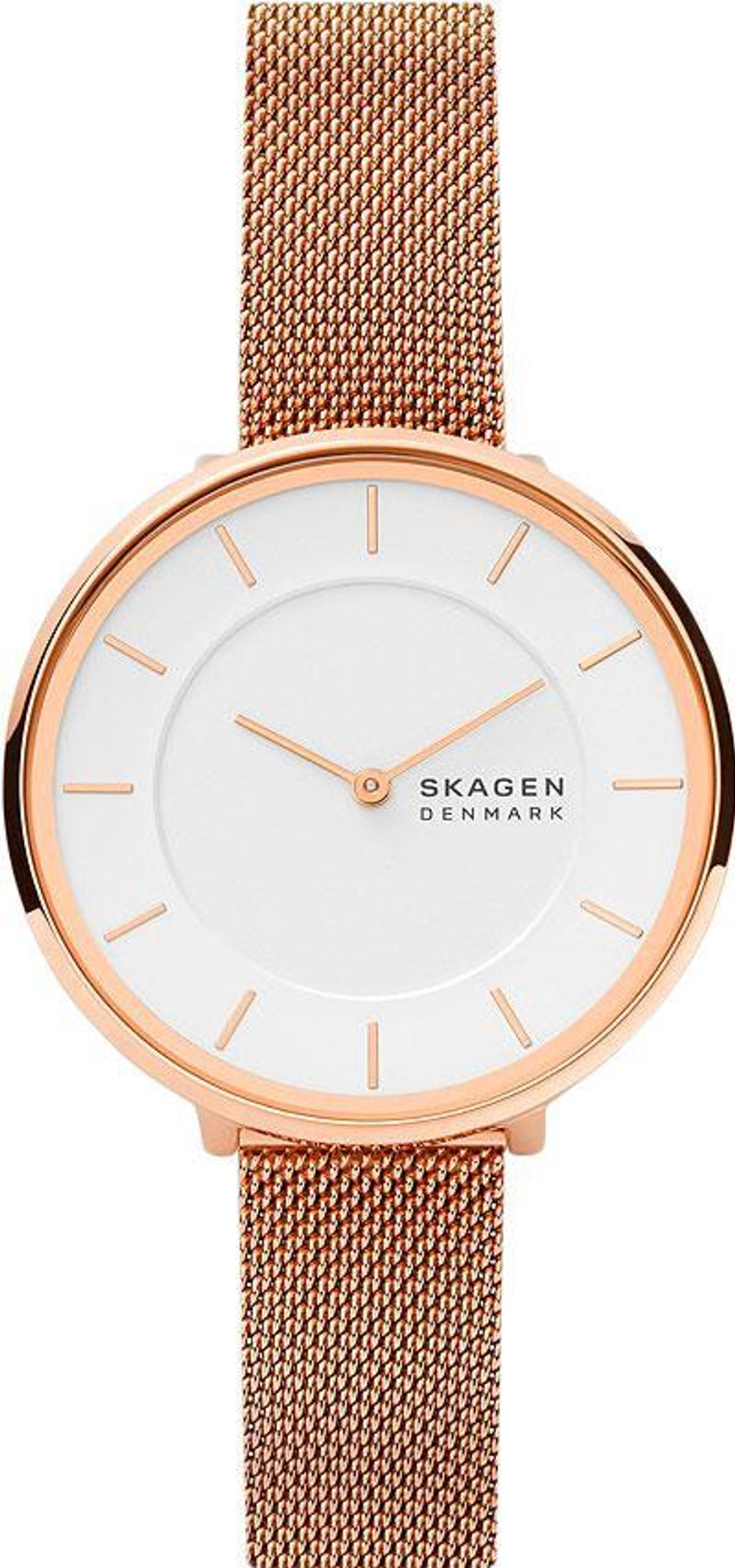 Женские наручные часы Skagen SKW3013