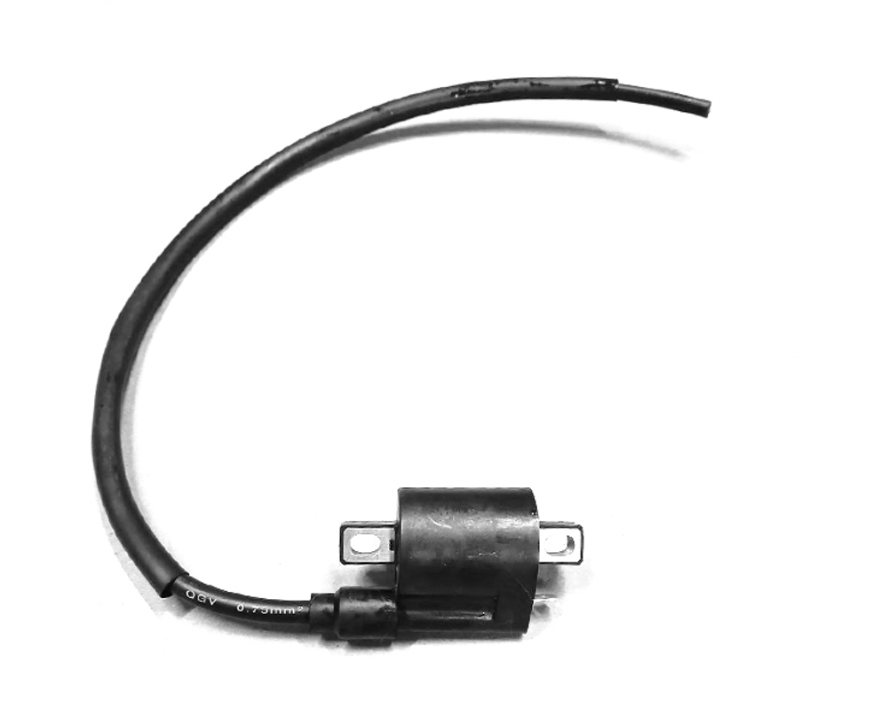 Катушка зажигания Minsk C4 300