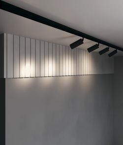 Трековый светодиодный светильник Maytoni Exility Focus LED TR032-2-20W3K-S-B