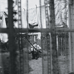 Paul McCartney / Chaos And Creation In The Backyard (LP)