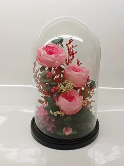 натуральные пионы в стекле