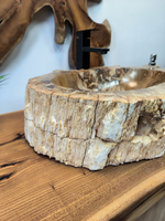 Раковина из окаменелого дерева OD-65710 58х45х15 из натурального камня