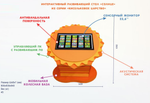 Интерактивный развивающий стол Солнце