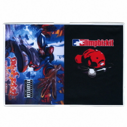 Обложка Limp Bizkit (129)
