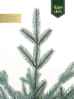 Ель Искусственная Царь елка Ель искусственная Раскидистая Премиум голубая 240 см