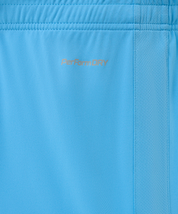 Шорты игровые Jogel DIVISION PerFormDRY Union Shorts, голубой S2