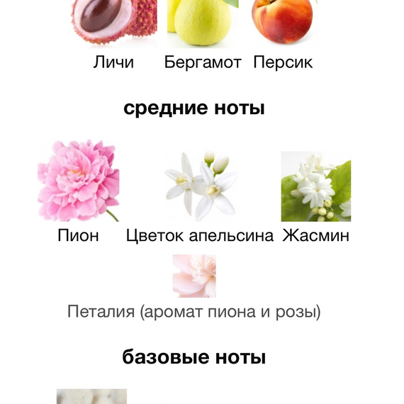 EX NIHILO Fleur Narcotique 100мл