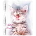 Тетрадь А5 80 л. BRAUBERG, гребень, клетка, глянцевая ламинация, "Довольные Коты", 404417, 4шт