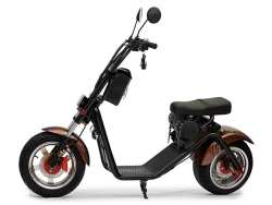 Электросамокат Citycoco Lux 1200W со съемным аккумулятором
