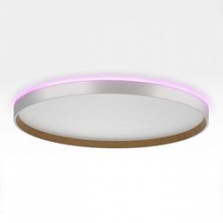 Накладной светильник Citilux ETALON CL750500R