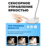 Светильник настольный RITMIX LED-610 аккумуляторный USB