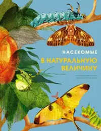 Насекомые в натуральную величину