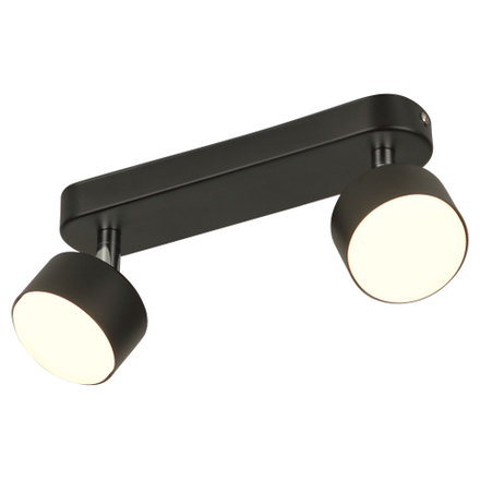 Светильник настенно-потолочный спот Rivoli Alesta 7079-702 2хGX53 15 Вт поворотный