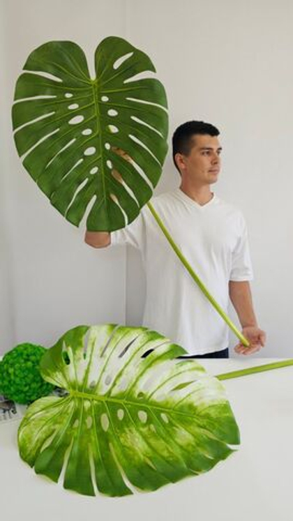 Лист монстеры зелёный / Арт 9084