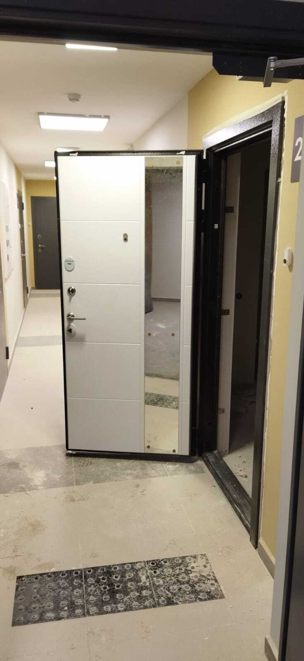 Дверь Входная Лабиринт Платинум 19 С зеркалом Белый софт