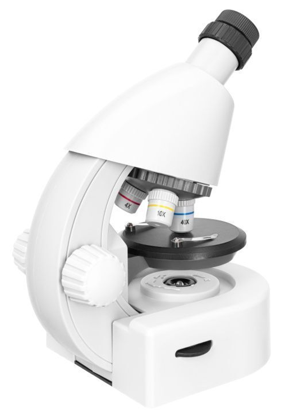 Микроскоп Levenhuk Discovery Micro Polar с книгой