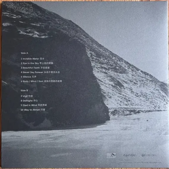 The Fuzz - Fazi – Folding Story - LP