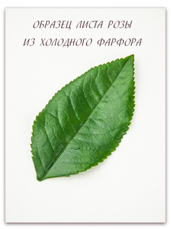 Лист розы XL