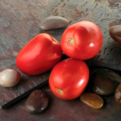 Диаболик F1 семена томата детерминантного (Sakata / Саката)